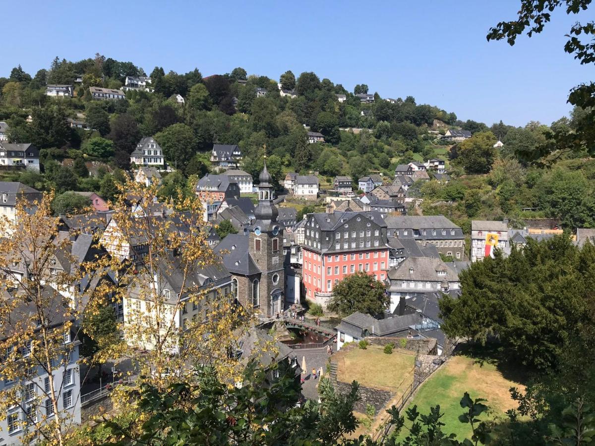 Villa Holgenbach - Penthouse- Und Ferienwohnung Im Nationalpark Eifel Schleiden Exteriör bild