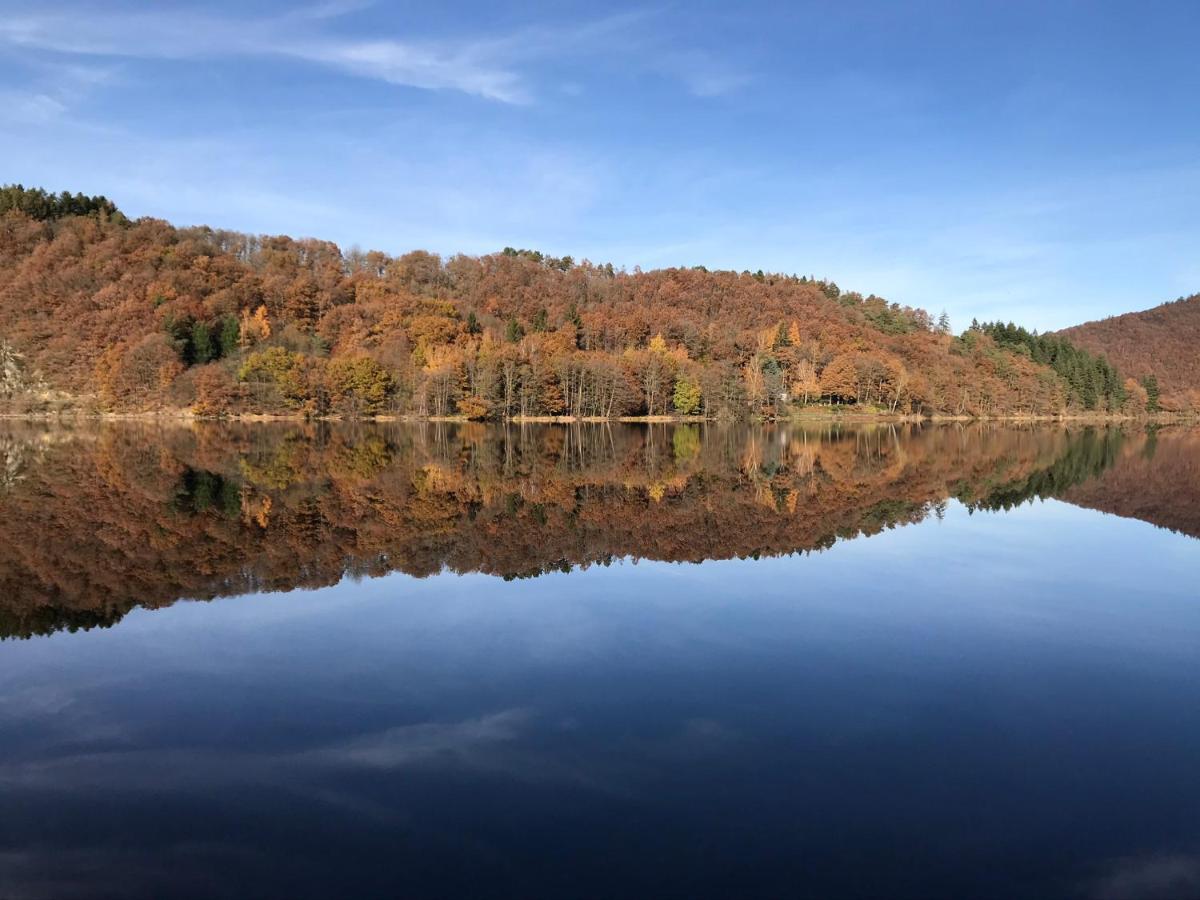 Villa Holgenbach - Penthouse- Und Ferienwohnung Im Nationalpark Eifel Schleiden Exteriör bild