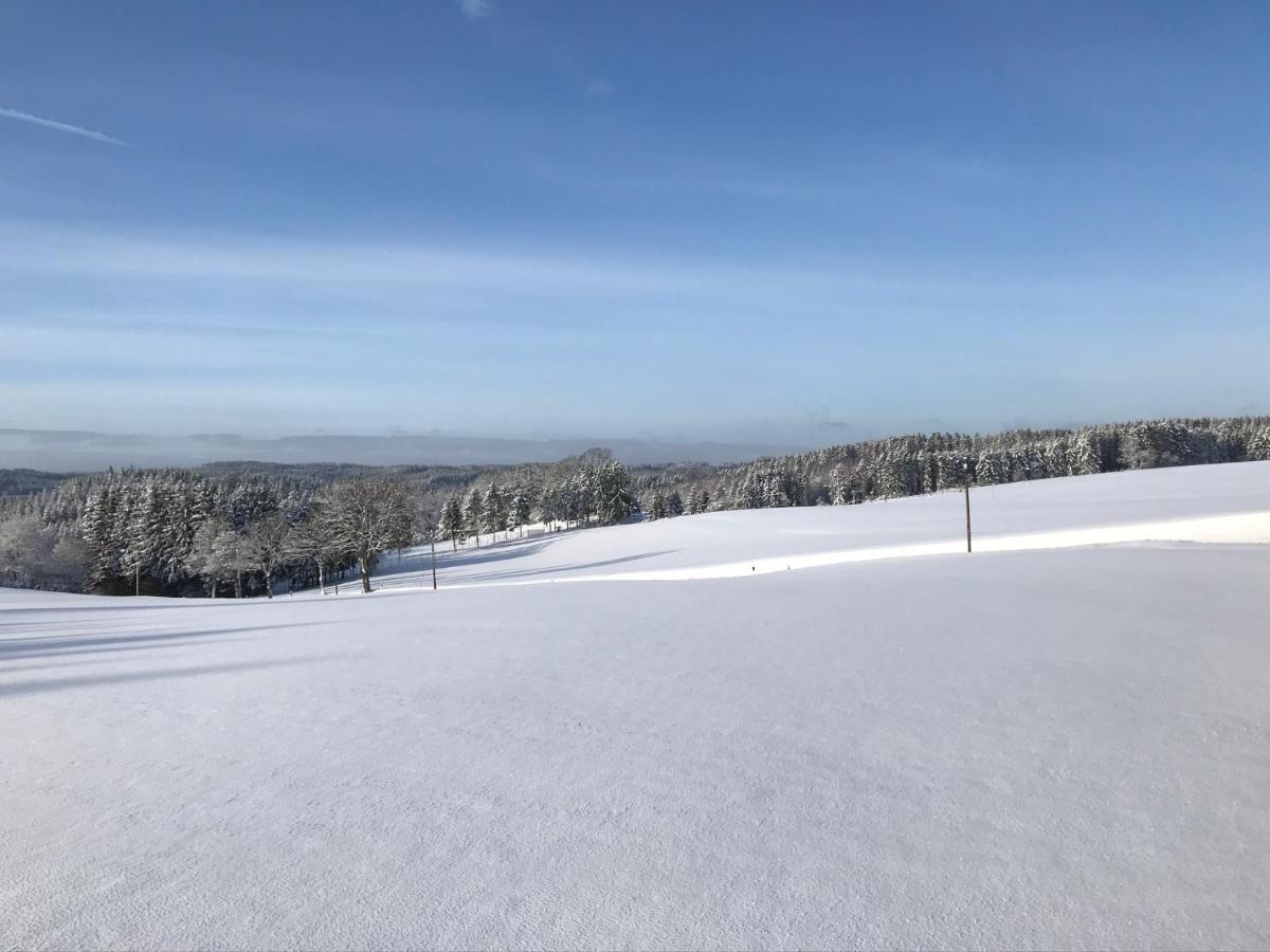 Villa Holgenbach - Penthouse- Und Ferienwohnung Im Nationalpark Eifel Schleiden Exteriör bild