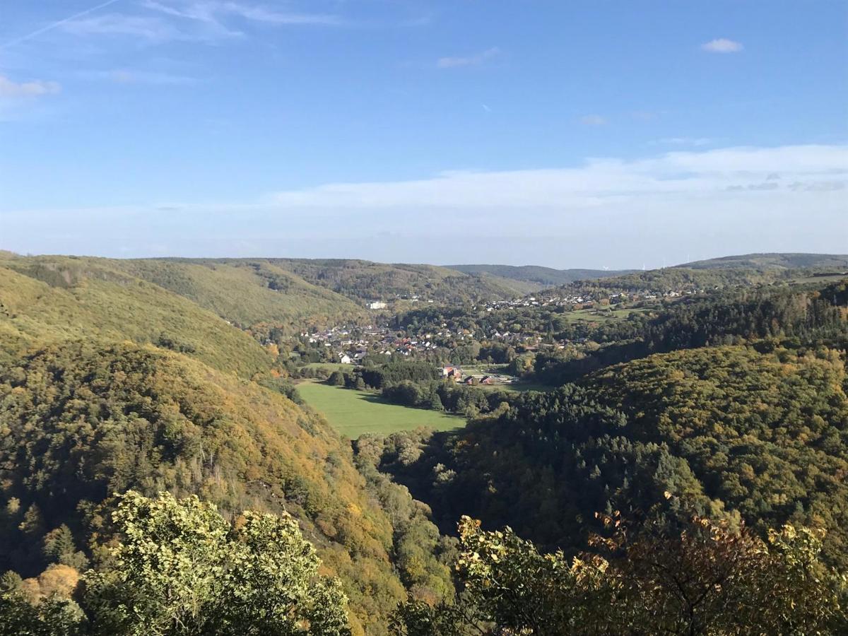 Villa Holgenbach - Penthouse- Und Ferienwohnung Im Nationalpark Eifel Schleiden Exteriör bild