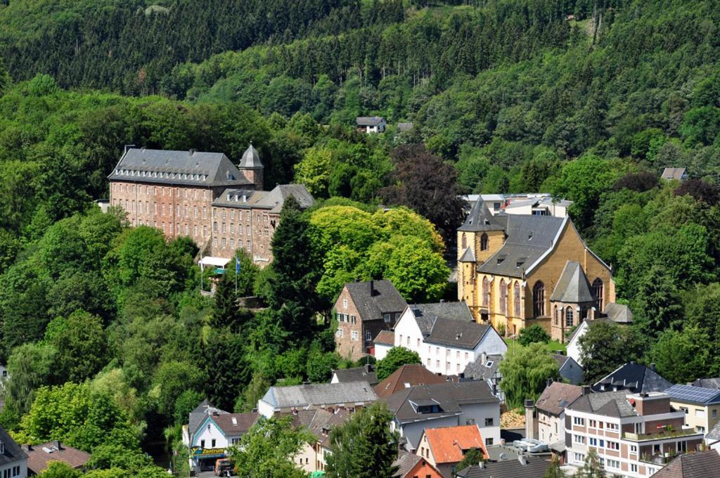 Villa Holgenbach - Penthouse- Und Ferienwohnung Im Nationalpark Eifel Schleiden Exteriör bild