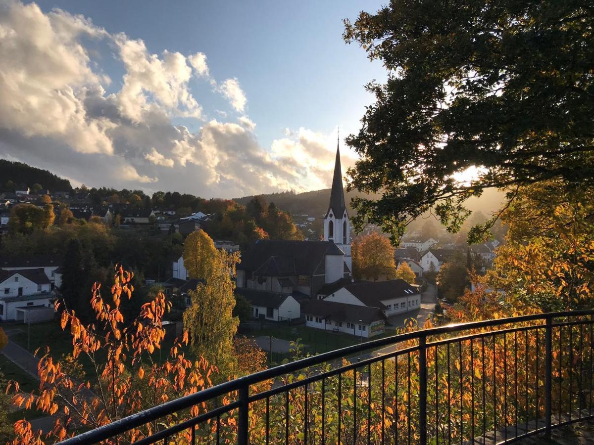 Villa Holgenbach - Penthouse- Und Ferienwohnung Im Nationalpark Eifel Schleiden Exteriör bild