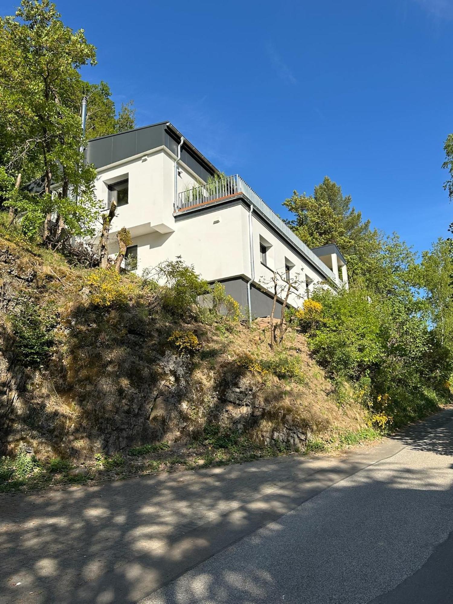 Villa Holgenbach - Penthouse- Und Ferienwohnung Im Nationalpark Eifel Schleiden Exteriör bild