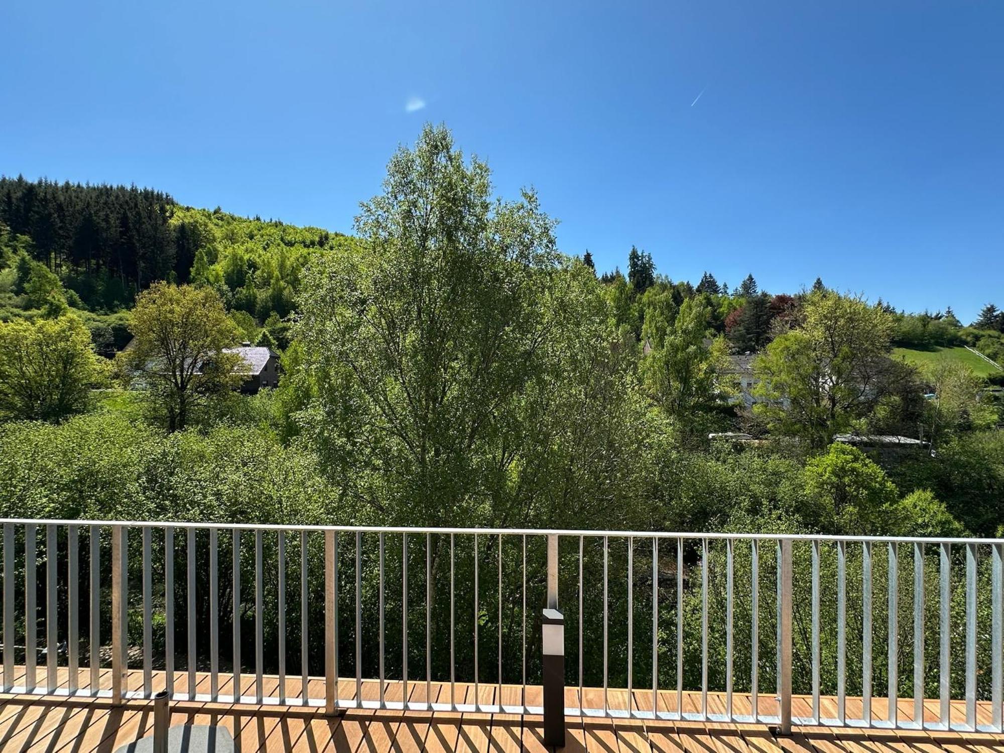 Villa Holgenbach - Penthouse- Und Ferienwohnung Im Nationalpark Eifel Schleiden Exteriör bild