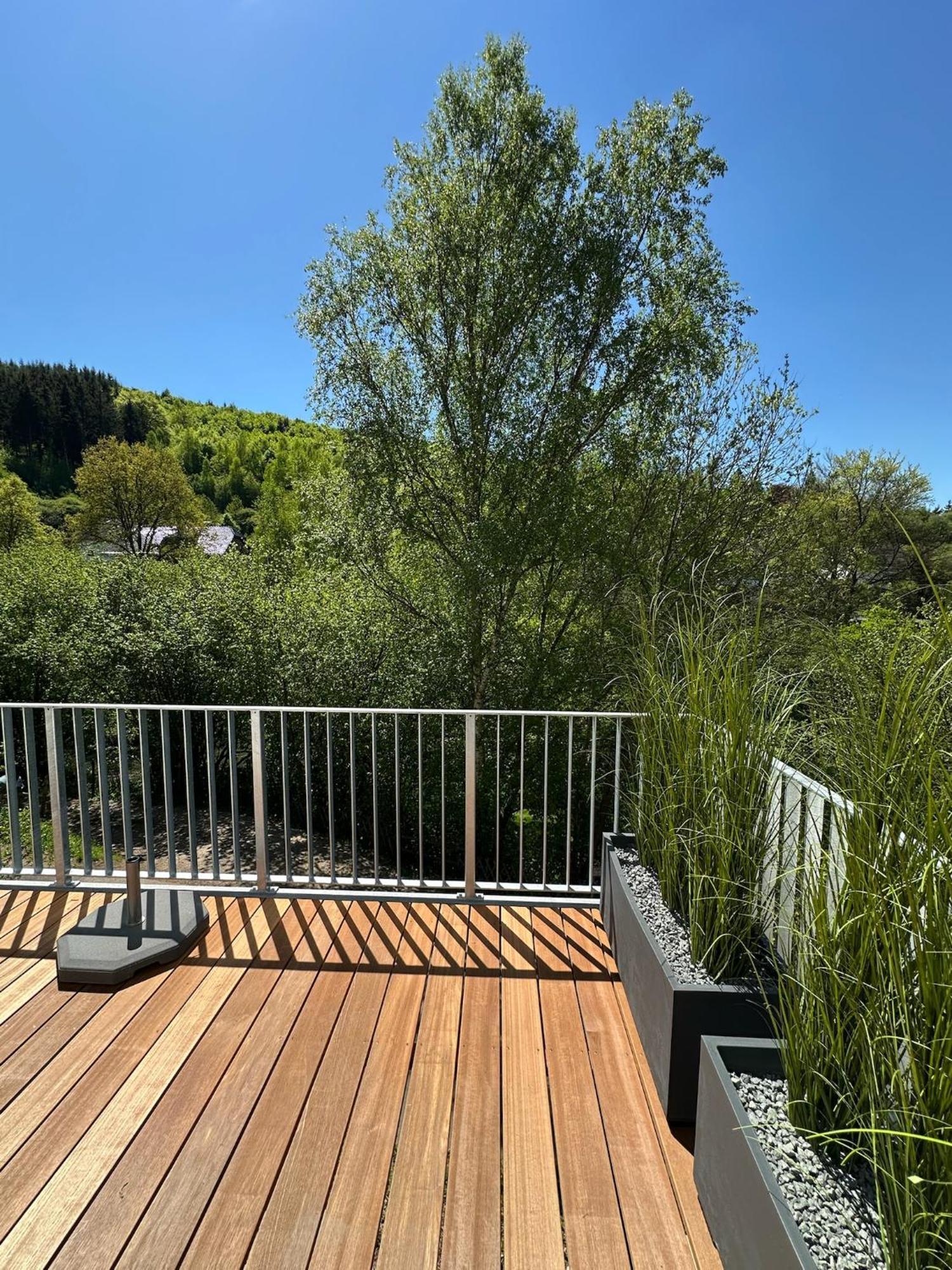 Villa Holgenbach - Penthouse- Und Ferienwohnung Im Nationalpark Eifel Schleiden Exteriör bild